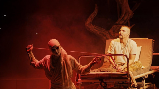 Plain of green trees