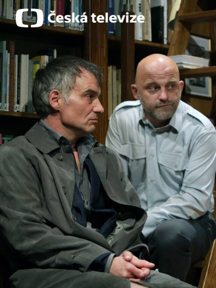 Театр "Дейвіце"